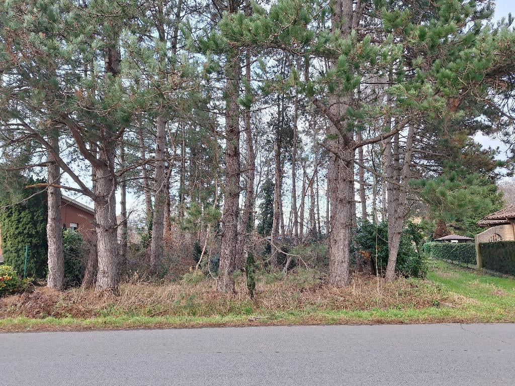 Bouwgrond voor vrijstaande woning te koop, Immo, Gronden en Bouwgronden, Berlaar-Heikant, Verkoop zonder makelaar, 500 tot 1000 m²