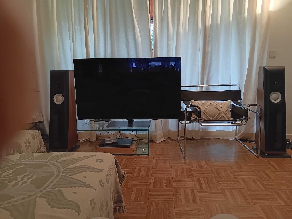 THIEL CS 1.6 luidsprekers van hoge kwaliteit, Audio, Tv en Foto, Luidsprekerboxen, Zo goed als nieuw, Front, Rear of Stereo speakers