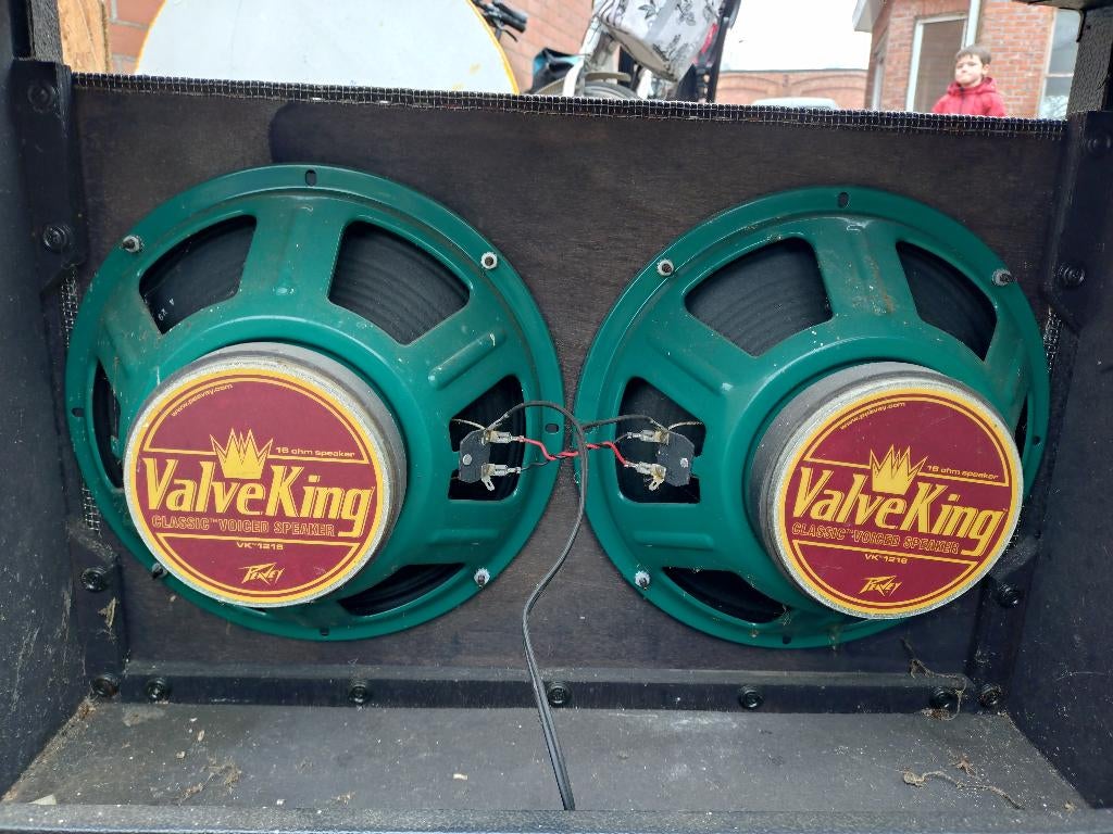 Peavey Valveking speakers, Enlèvement, Comme neuf