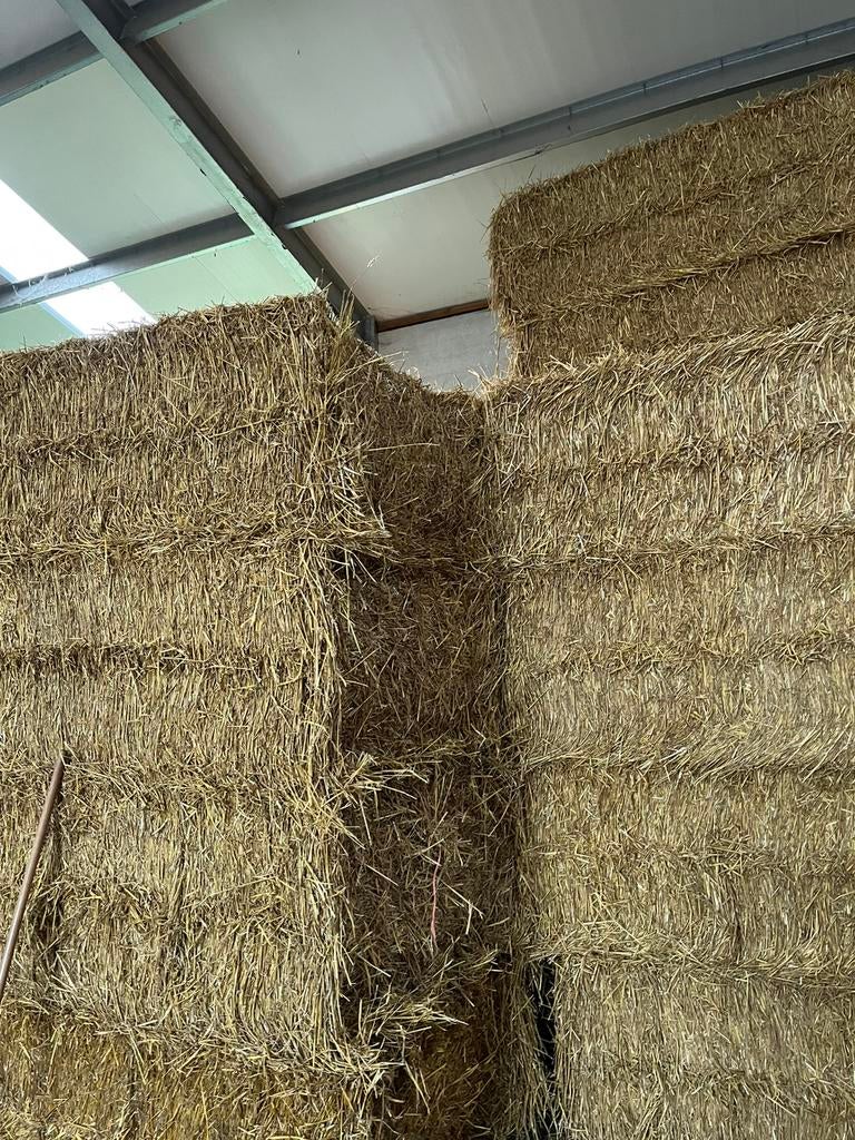 Grote pakken stro, Dieren en Toebehoren, Stalling en Weidegang