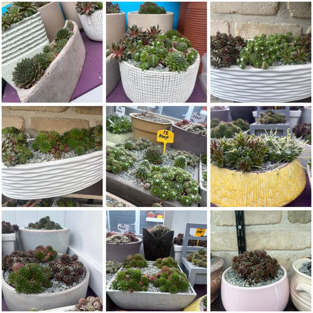 Assortiment stenen bloempotten, Ophalen, Zo goed als nieuw