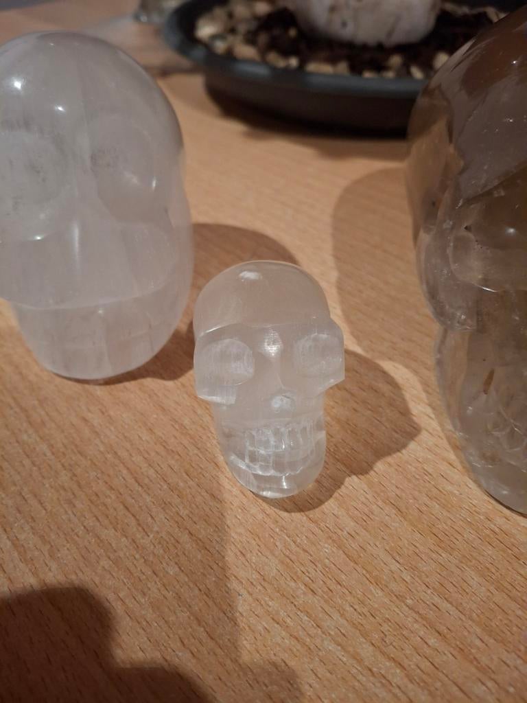 Schedels, Diversen, Ophalen of Verzenden