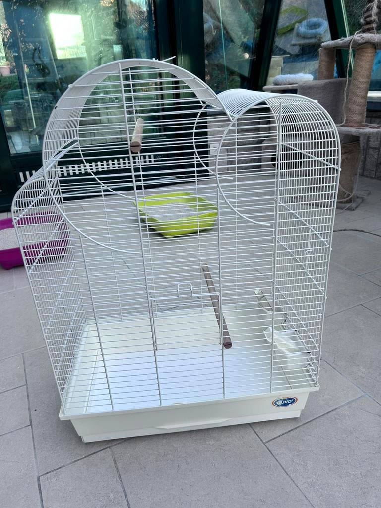 Cage volière oiseaux canaris, Animaux & Accessoires, Oiseaux | Cages & Volières, Utilisé, Volière, Enlèvement