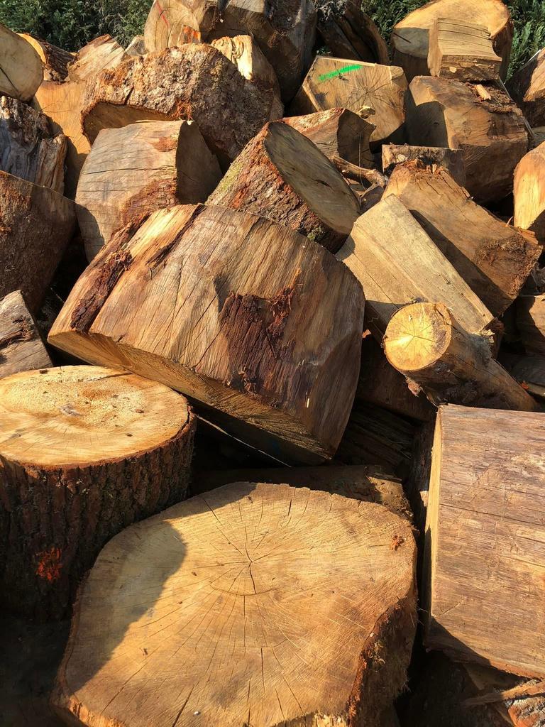 Kloofboomstammen van eiken en beuken, Tuin en Terras, Brandhout, Ophalen of Verzenden, Eikenhout