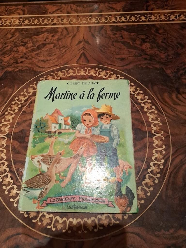 Livre de martine édition Casterman, Livres, BD, Utilisé, Une BD, Enlèvement