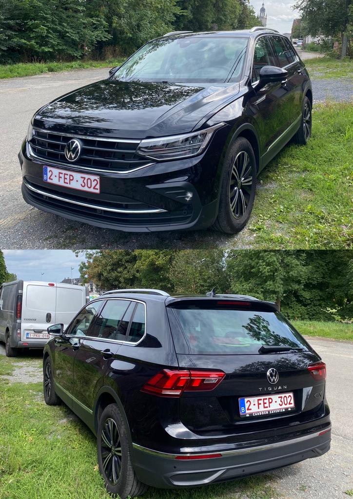 Polissage Polish, Enlèvement