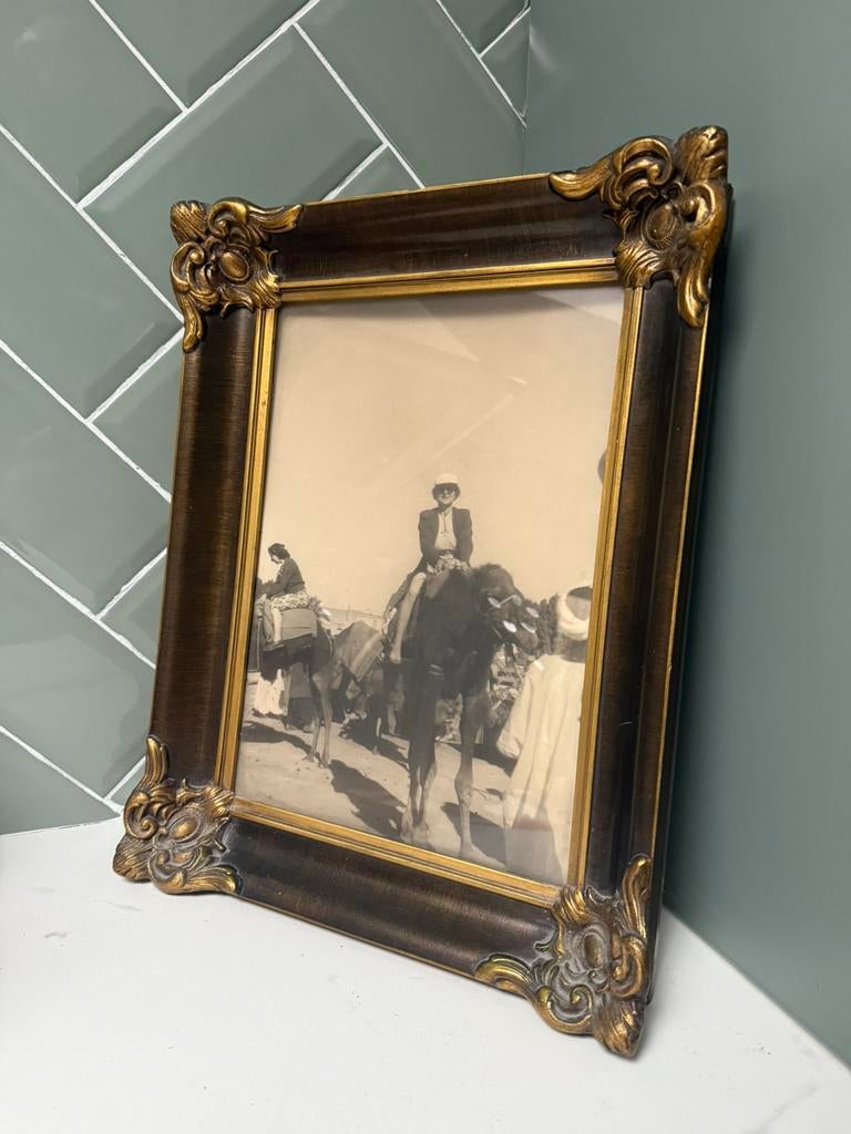 Oude zwart wit foto Egypte kameel, Antiek en Kunst, Ophalen