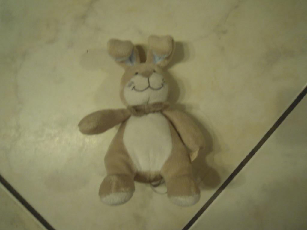 knuffel noukie,s konijn (doos november 2025), Ophalen of Verzenden, Nieuw, Konijn