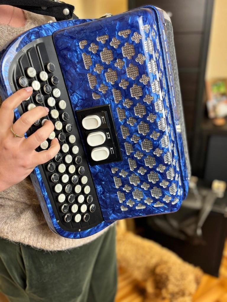 Accordeon te koop, Muziek en Instrumenten, Overige Muziek en Instrumenten, Ophalen, Gebruikt