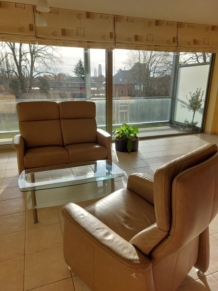 Tweezit en relaxzetel in leder, Ophalen, Gebruikt, Overige maten, Klassiek