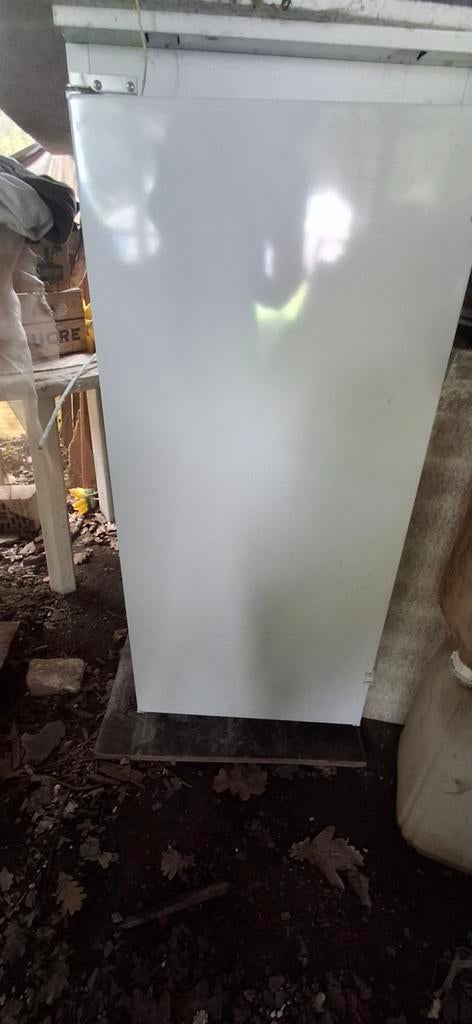 Frigo, Elektronische apparatuur, Ophalen