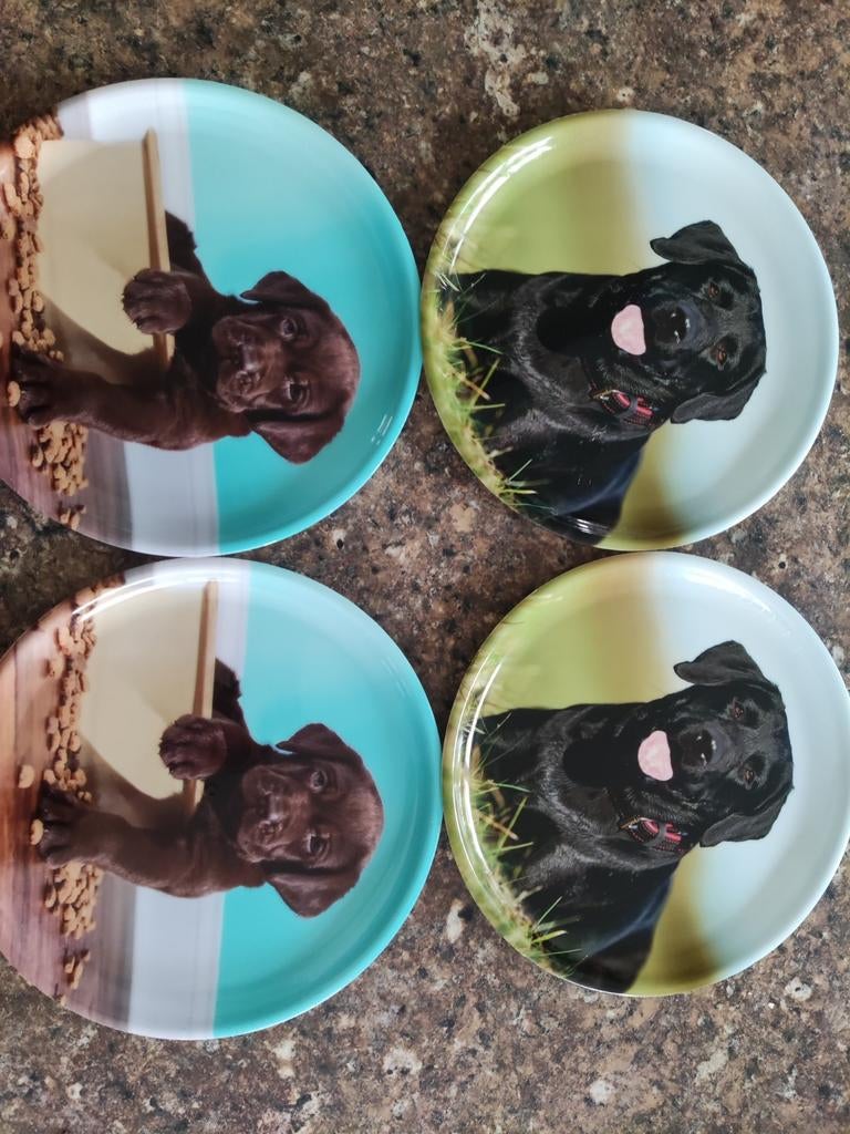 plastic serviesgoed, Ophalen