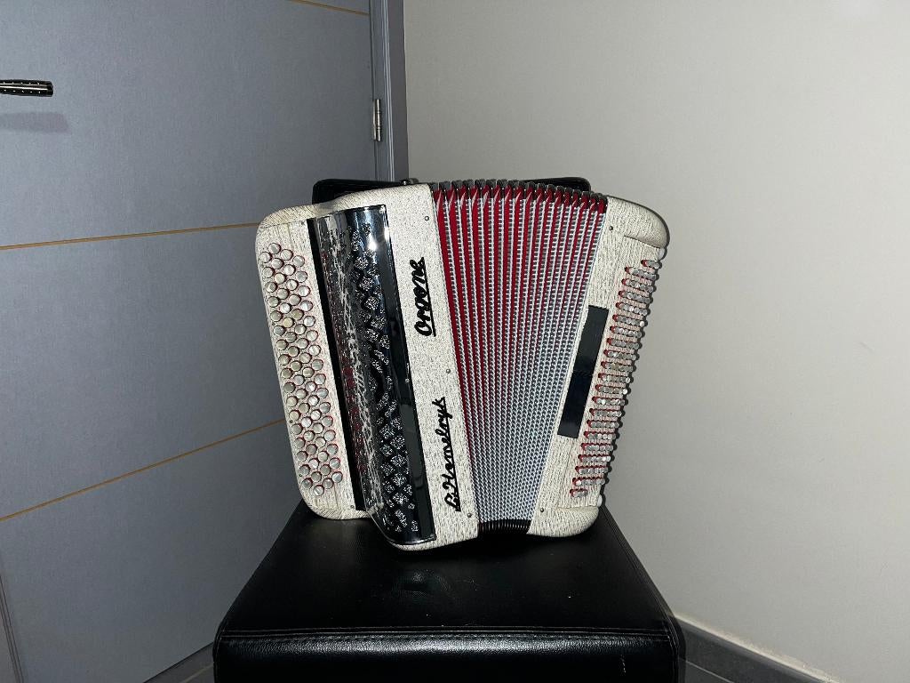 Accordéon in nieuwstaat do1, Muziek en Instrumenten, Accordeons, Met koffer, Zo goed als nieuw, Knopaccordeon, 120-bas