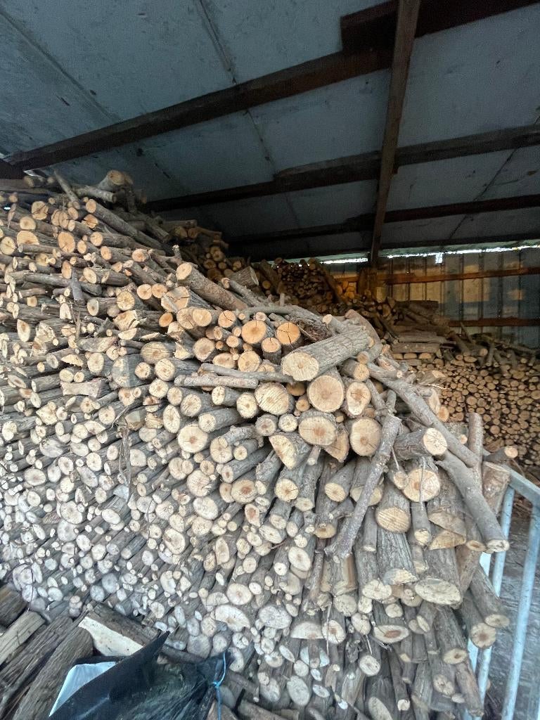 Brandhout, Enlèvement