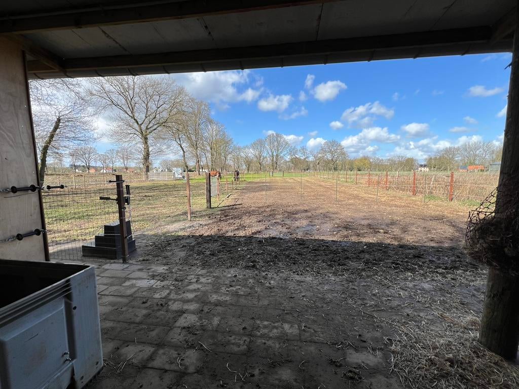 Stalling voor paard of pony, Mise à l'étable