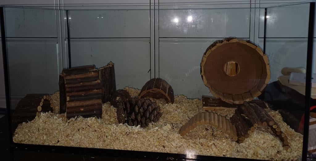 Hamsterkooi, Dieren en Toebehoren, Knaagdieren en Konijnen | Hokken en Kooien, Ophalen