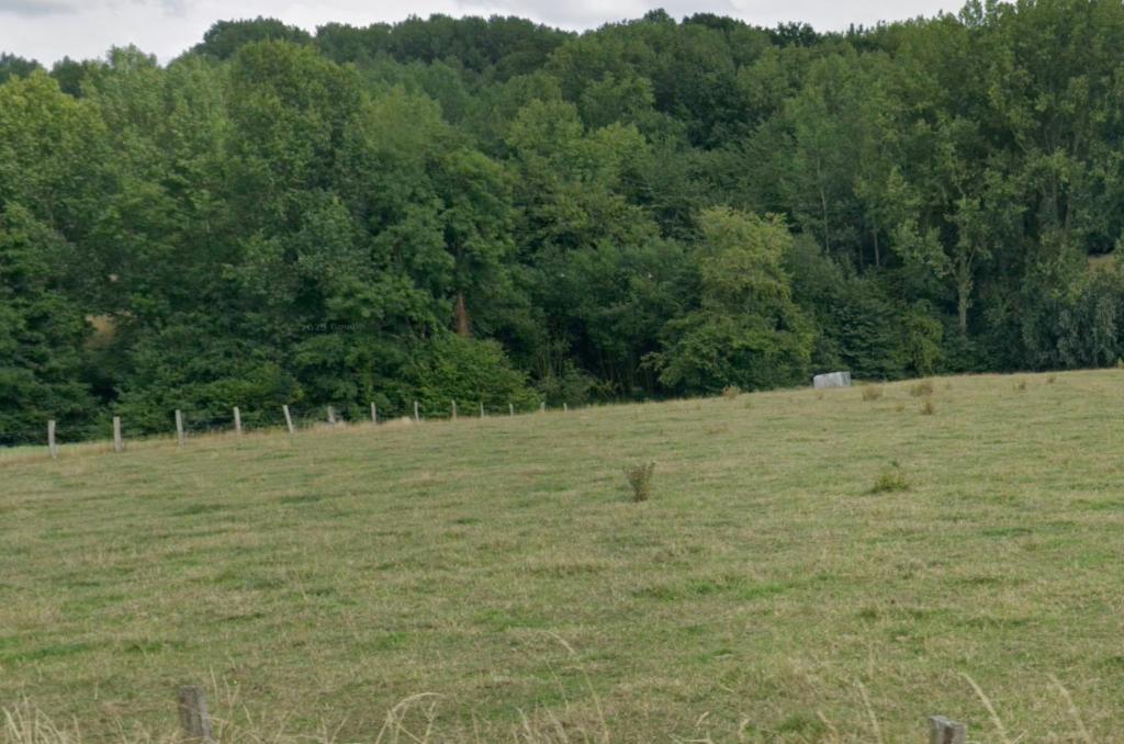 weide / prairie 1HA, Pâturage, 4 chevaux ou poneys ou plus