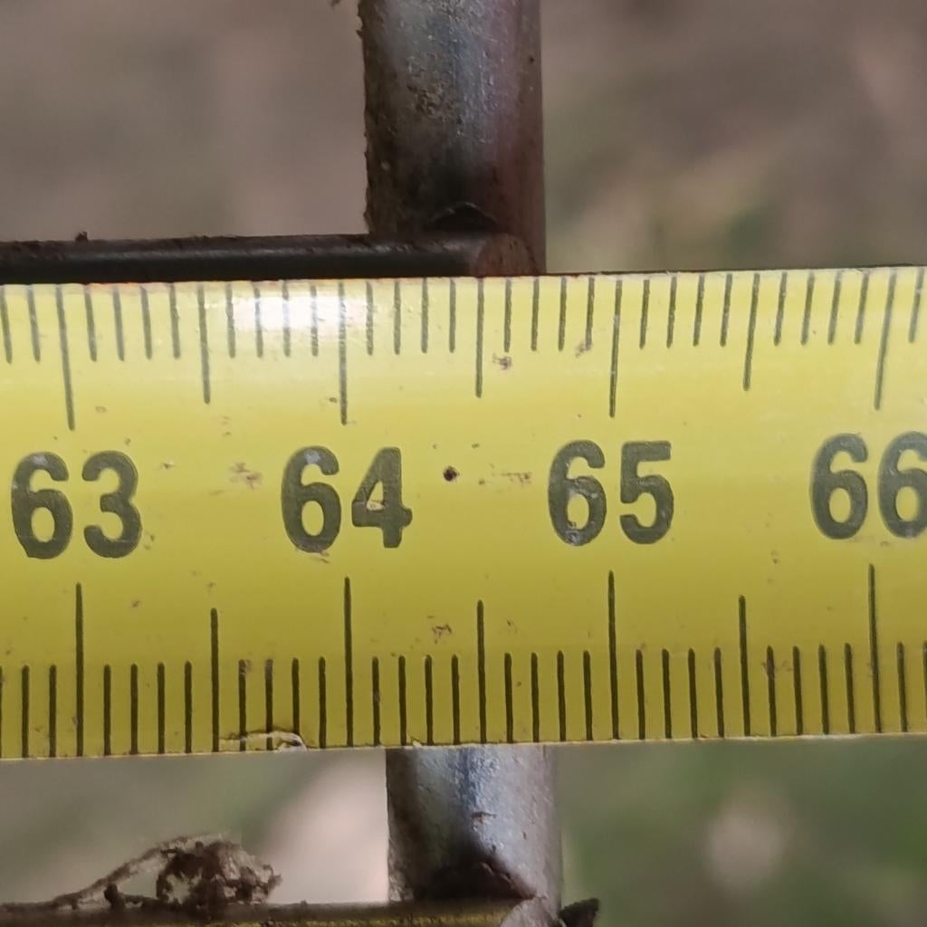 Inox roosters, Ophalen