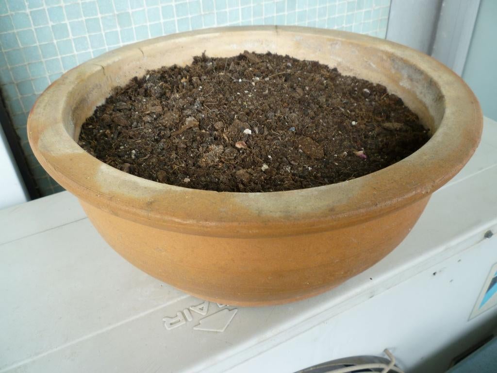 Vintage bloempot van geglazuurd aardewerk, Tuin en Terras, Bloempotten, Binnen, Ophalen