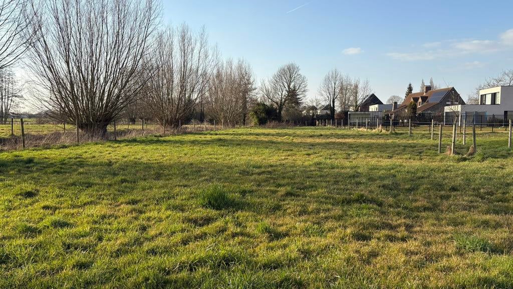 Weide te huur in Drongen, Pâturage, 1 cheval ou poney