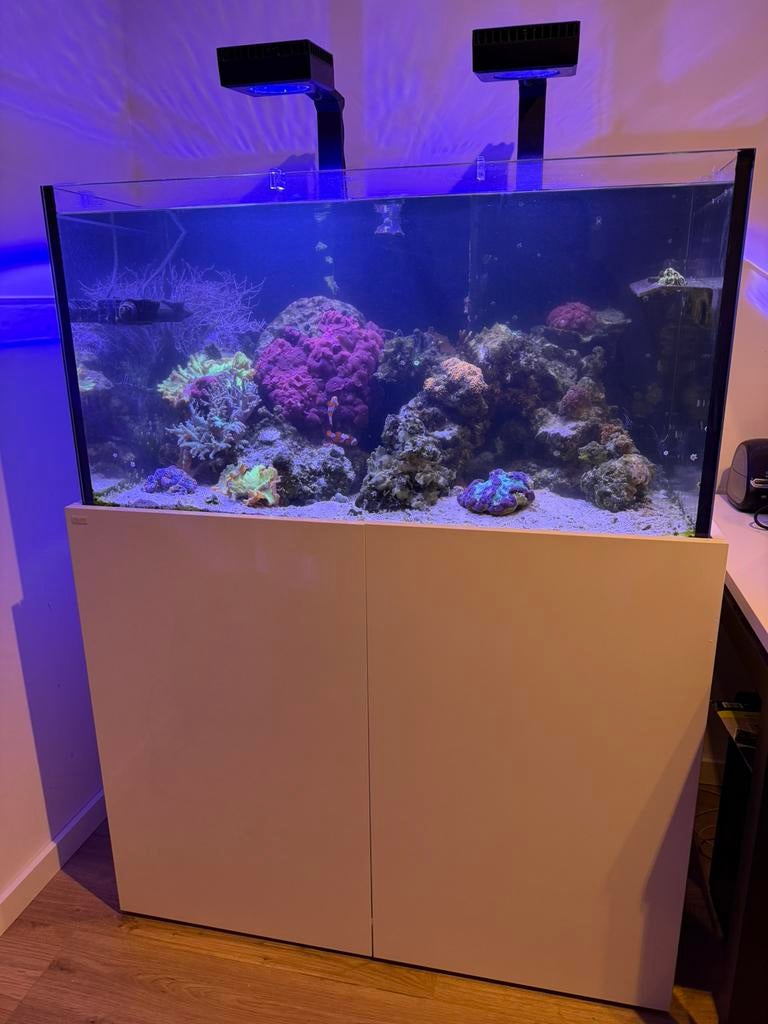 Aquaja 400 diamond reef aquarium met levende have., Pompe, Aquarium d'eau de mer rempli, Enlèvement, Utilisé