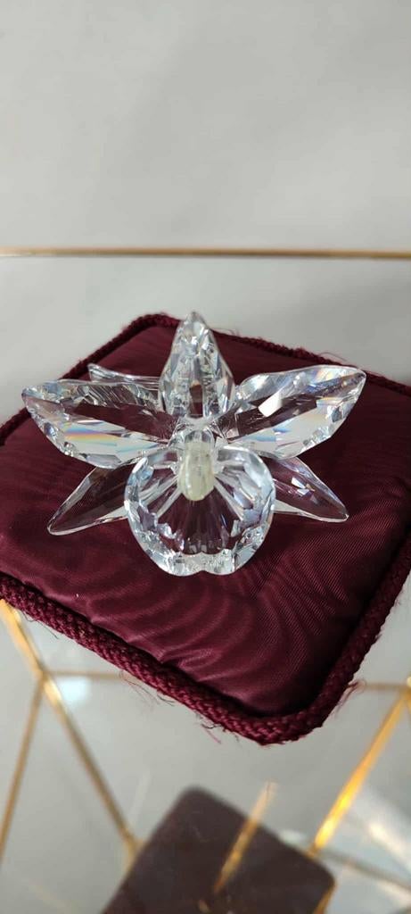 Orchidee met lichtgeel hart, Ophalen of Verzenden, Zo goed als nieuw