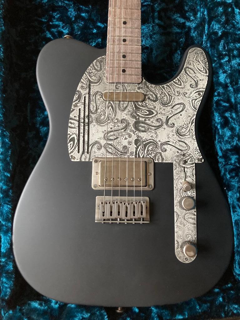 STEELCASTER JAMES TRUSSART gitaar (nieuw), Ophalen, Nieuw, Hollow body, Overige merken