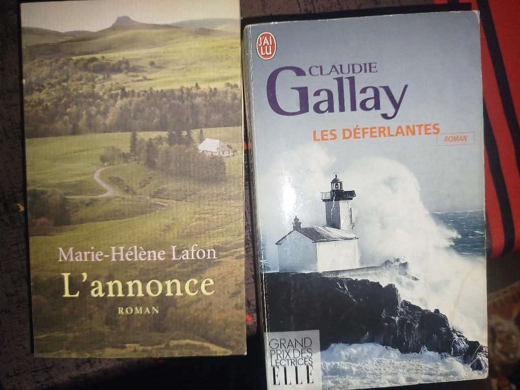 Roman, Ophalen of Verzenden, Zo goed als nieuw