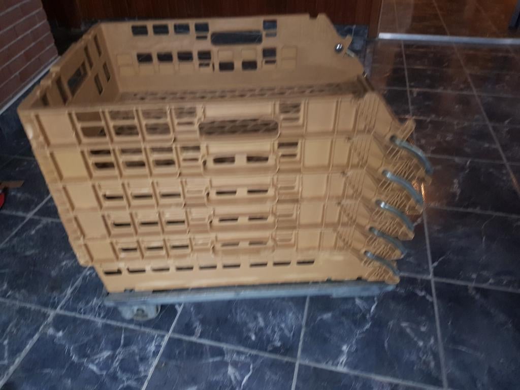 5 brood bakken, Dieren en Toebehoren, Ophalen of Verzenden, Zo goed als nieuw