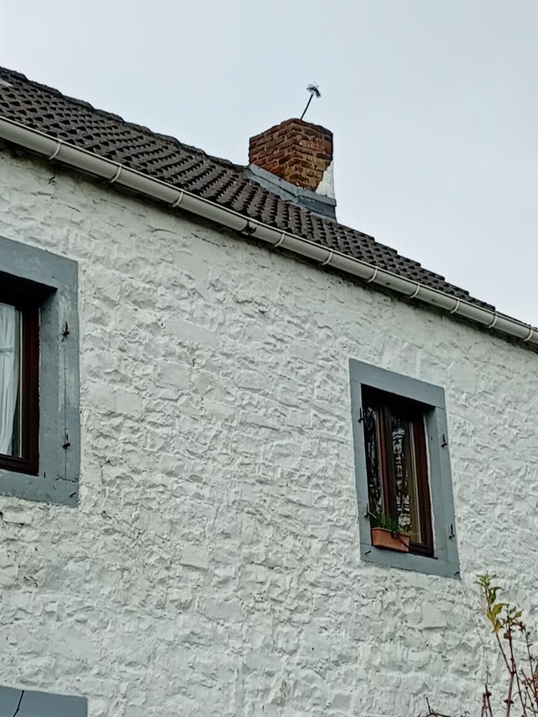 Ramonage, Doe-het-zelf en Bouw, Verwarming en Radiatoren, Zo goed als nieuw, Ophalen of Verzenden