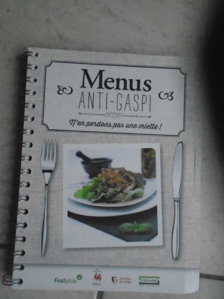 SOUPES/VEGETARIENNE/ESPUMASxSIPHONS/MENUS ANTI-GASPI, Livres, Livres de cuisine, Comme neuf, Entrées et Soupes, Plat principal