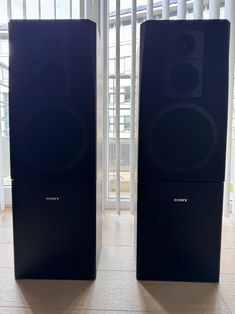 Twee luidsprekers Sony 100Watt, Ophalen, Sony