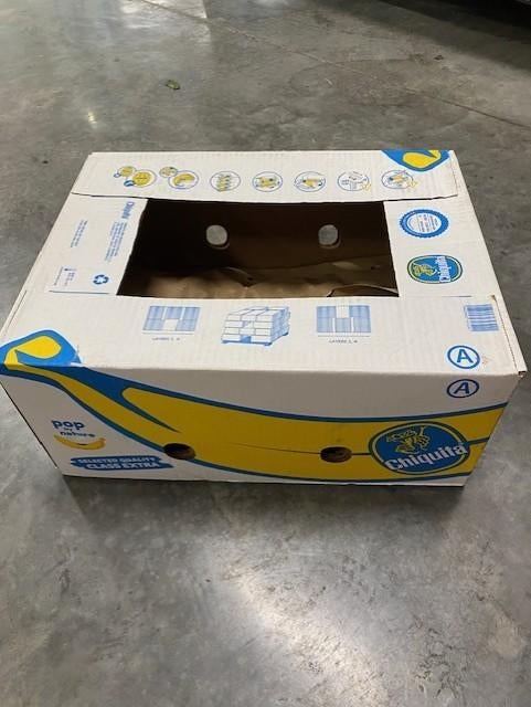 bananendozen, Doe-het-zelf en Bouw, Kratten en Dozen, Ophalen, Nieuw, Doos