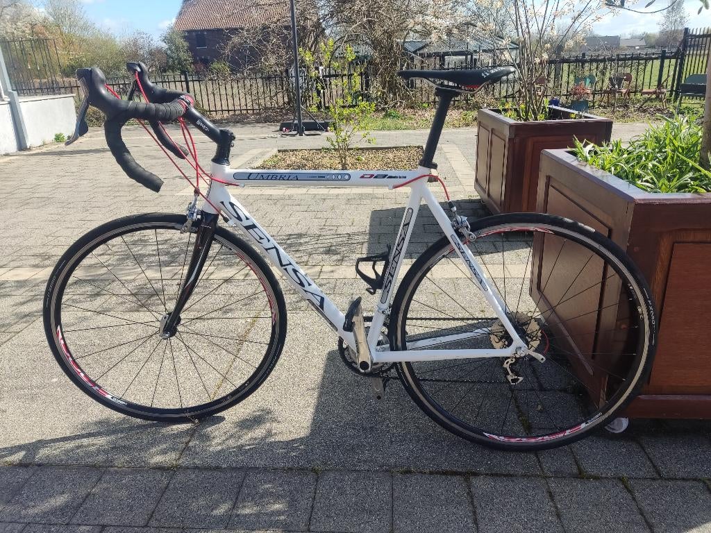 SENSA UMBRIA racefiets, Fietsen en Brommers, 28 inch, Gebruikt, 15 tot 20 versnellingen, Ophalen