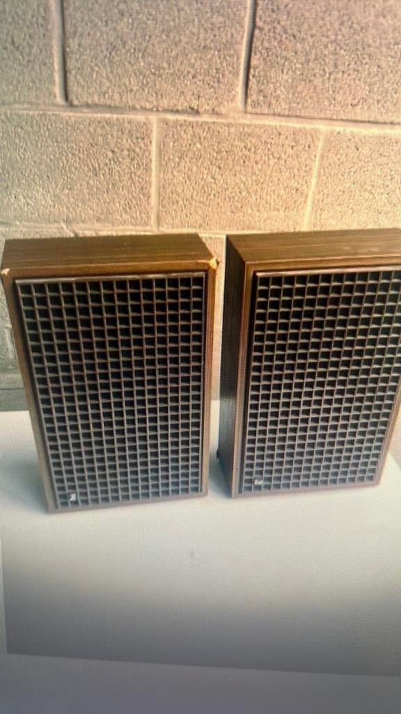 Dual boxen vintage, Audio, Tv en Foto, Luidsprekerboxen, Ophalen of Verzenden, Zo goed als nieuw