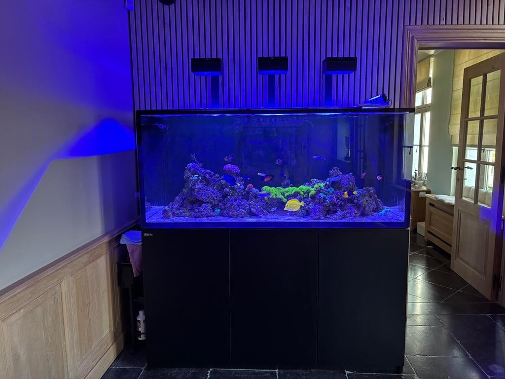 Aquarium, Ophalen, Zo goed als nieuw