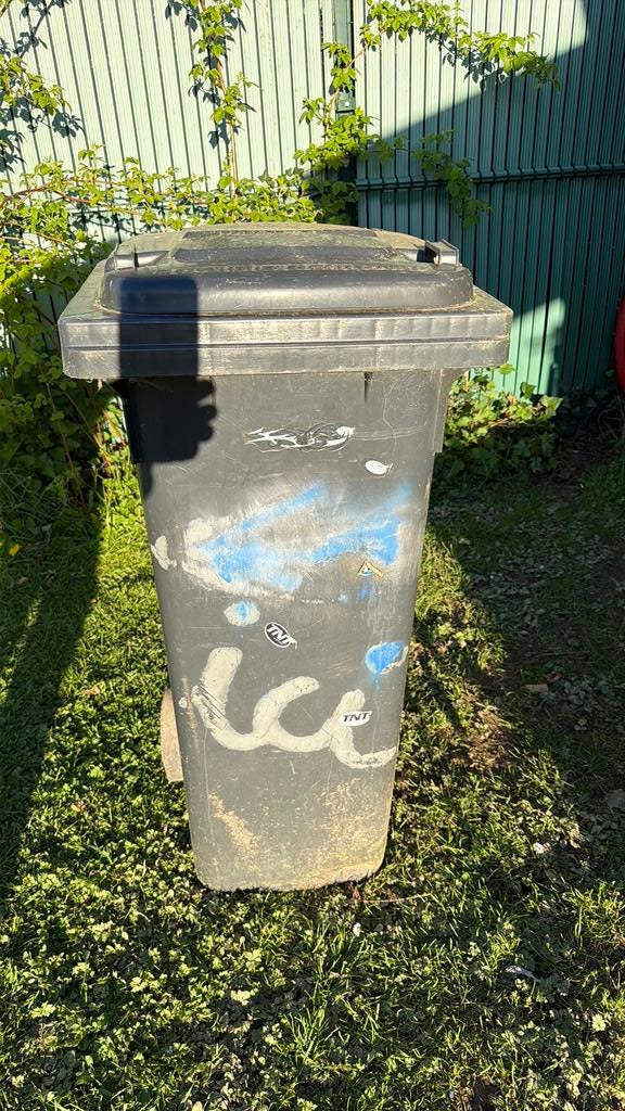 conteneur à déchets en plastique,  poubelle ext 250 l, Enlèvement