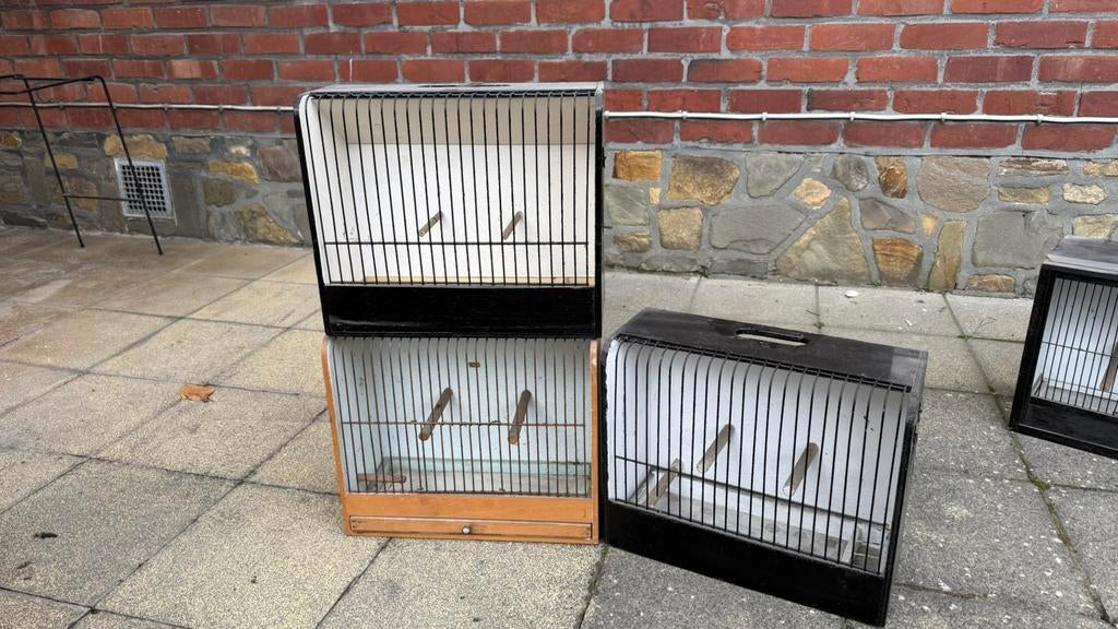 Cage d'exposition 36 cm x 30 cm x 15 cm, Enlèvement, Utilisé, Bois