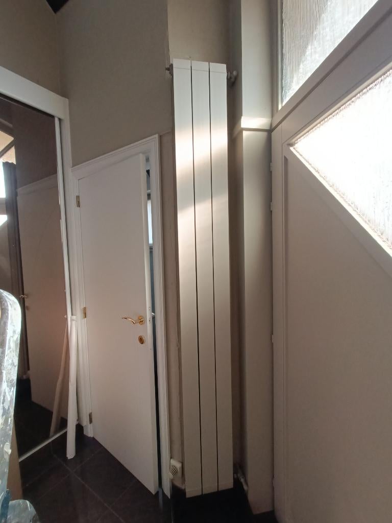 Verticale radiator – €30 – Ideaal voor renovatie!, Ophalen, Gebruikt, Radiator, Minder dan 60 cm