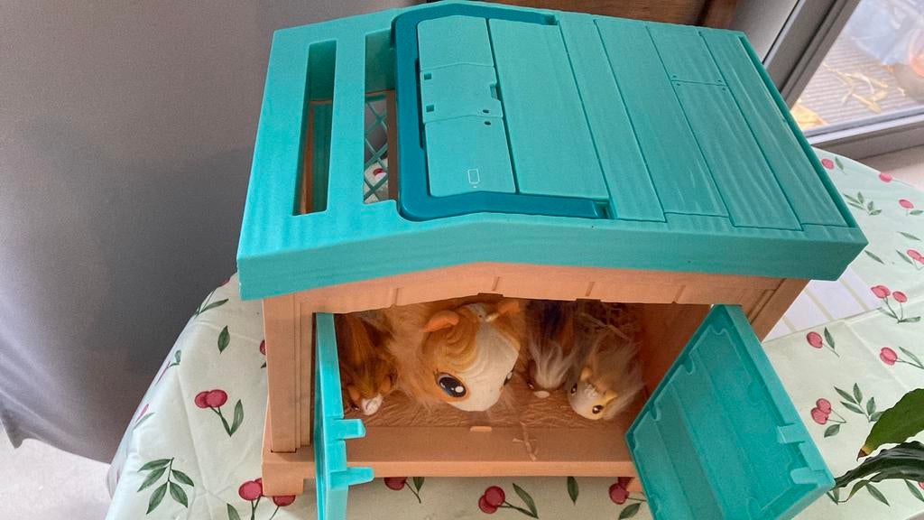 Little live pets Cavia, Ophalen, Gebruikt