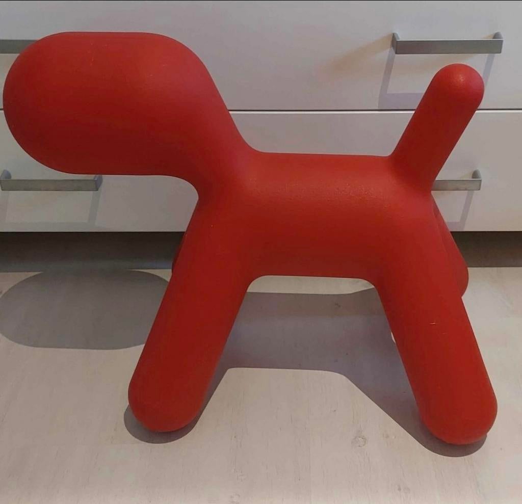 Decoratieve hond, Ophalen