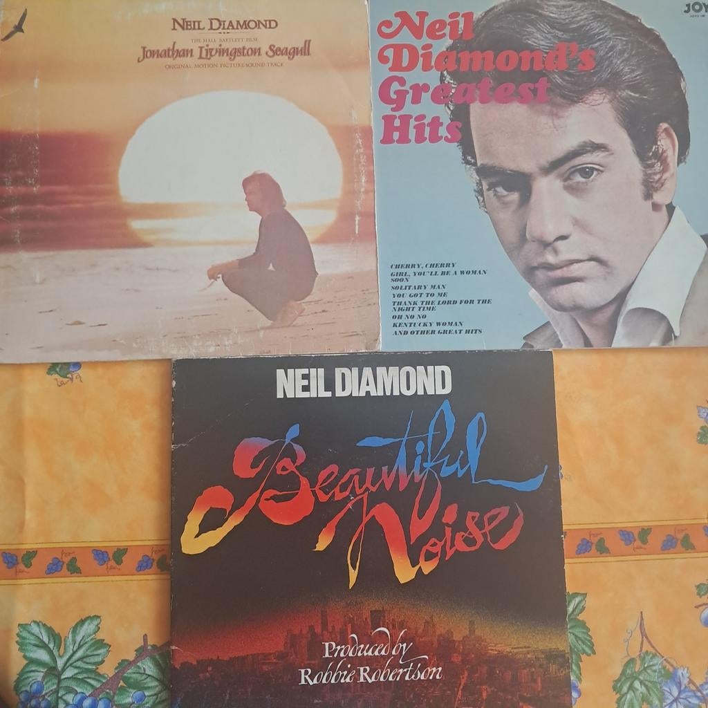 3 LP's NEIL DIAMOND, Ophalen