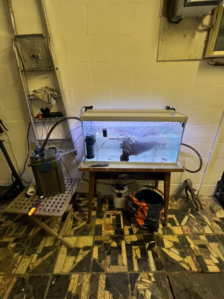 Aquarium 80cm met buiten filter, Dieren en Toebehoren, Ophalen, Filter, Oase