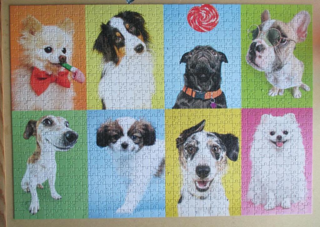 puzzel trefl 1000 honden, Ophalen of Verzenden