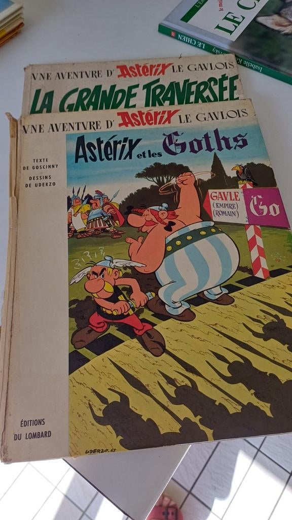 Asterix.  1 livre  .Asterix et la traversée, Livres, Enlèvement ou Envoi, Comme neuf