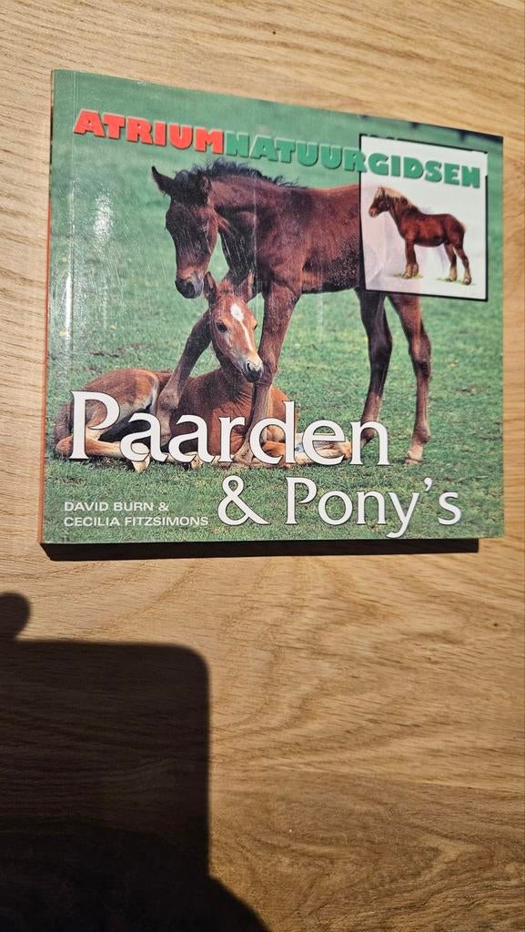 D. Burn - Atrium natuurgids: Paarden & Pony's, Ophalen of Verzenden, Zo goed als nieuw, D. Burn; C. Fitzsimons