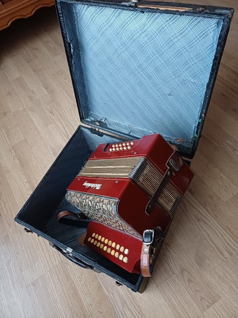Accordéon Meisterklang, Enlèvement, Utilisé, Accordéon à boutons, Avec valise