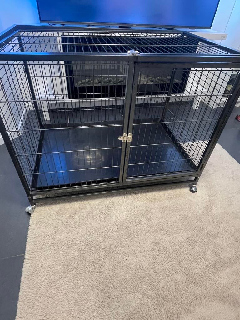 Cage pour chien, Ophalen, Zo goed als nieuw, 110 cm of meer, 65 tot 100 cm