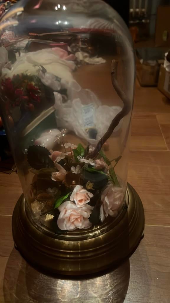 Vintage glazen stolp op voetstuk, made in Germany, Huis en Inrichting, Woonaccessoires | Stolpen, Ophalen, Gebruikt