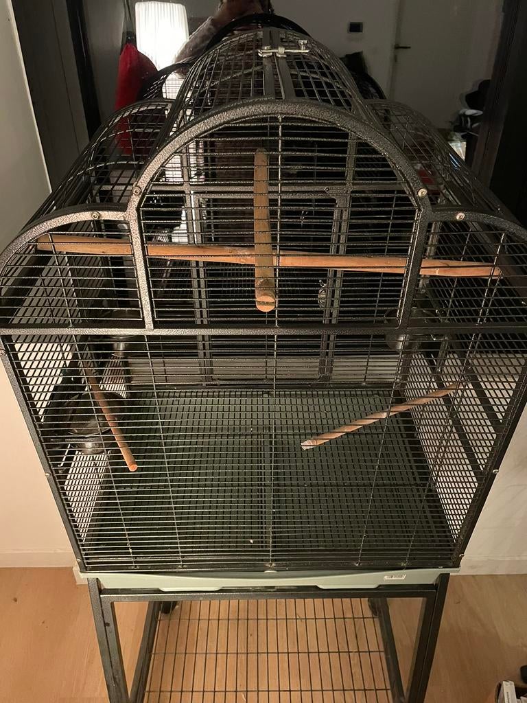 papegaaienkooi, Ophalen of Verzenden, Zo goed als nieuw